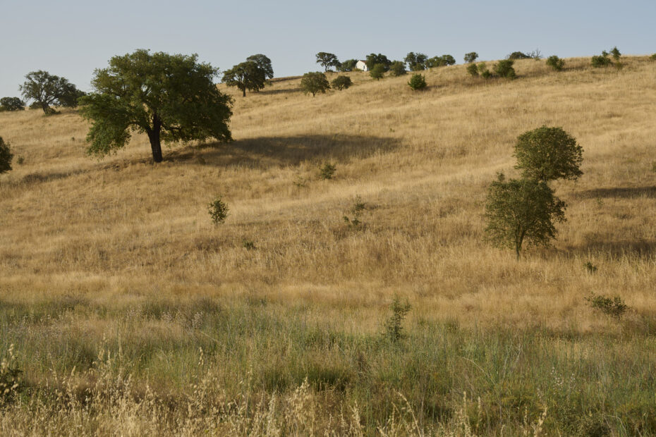 Alentejo Comporta