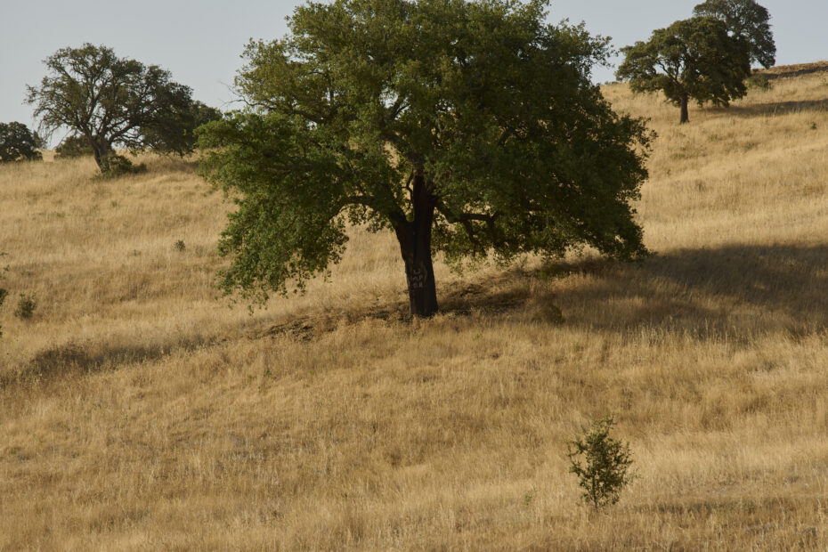 Alentejo Melides Portugal