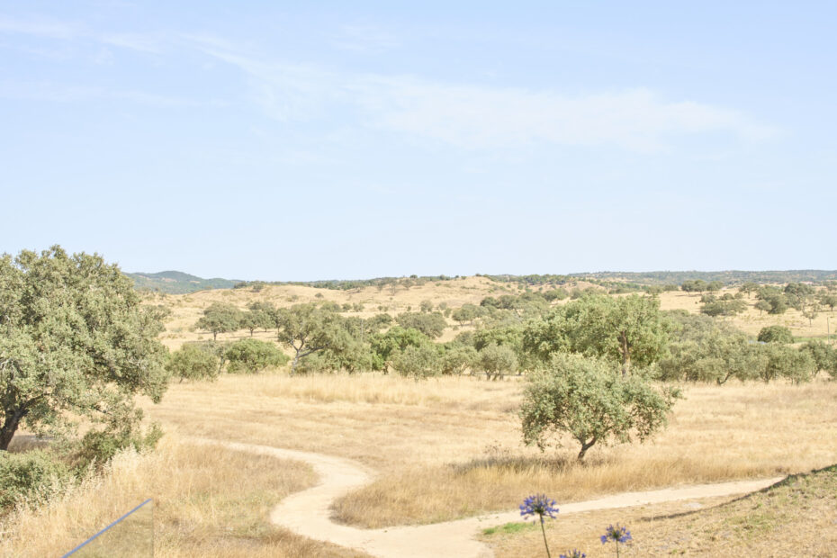 Alentejo Portugal Comporta